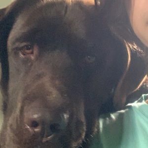 Meet your Posher, Ethan